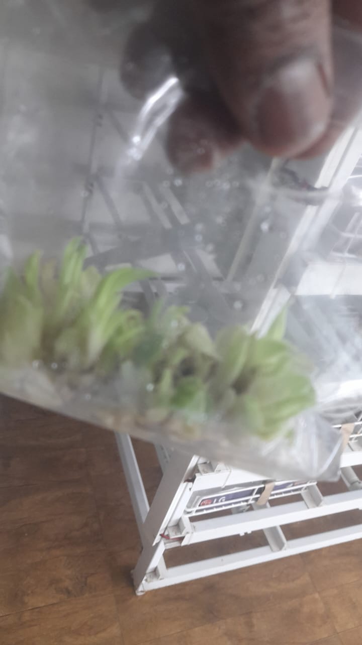 Clean Lab