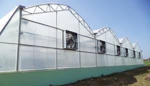 Hardening Polyhouse